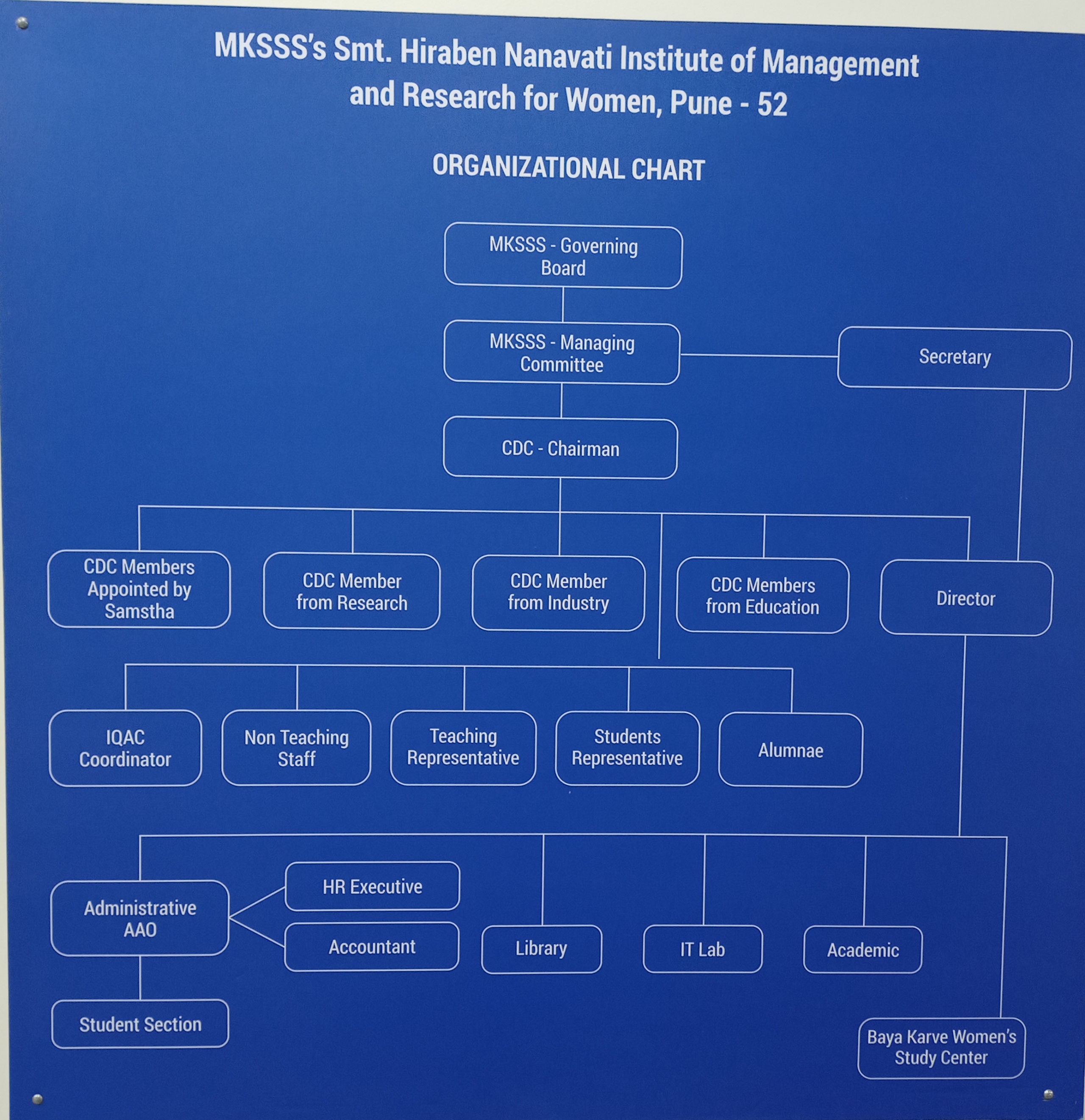 Organogram